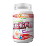 ENERGY-VIT MALTEADA